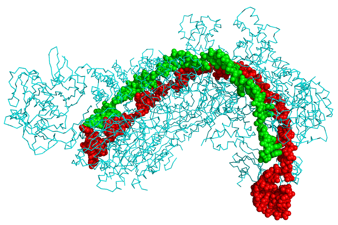 CRISPR Cas9 молекулярная структура